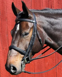 WORLD EQUSTRN BRNDS Vespucci Dressage Double Raised Weymouth Bridle Black Best