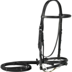 WORLD EQUSTRN BRNDS Vespucci Plain Raised Dressage Bridle with Flash Black