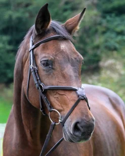 WORLD EQUSTRN BRNDS Vespucci Square Raised Figure-8 Bridle Outlet