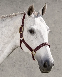 WALSH PRODUCTS Walsh™ Signature Padded Halter Discount