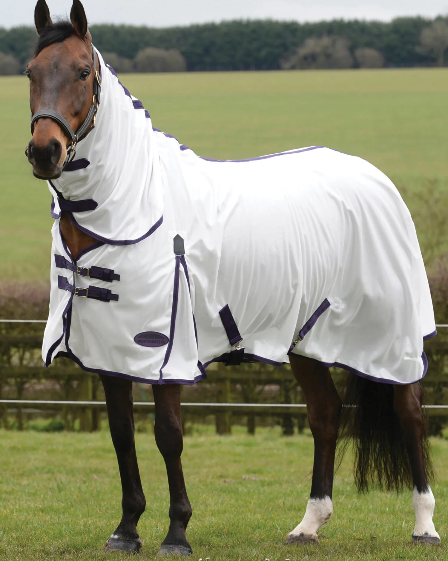 WEATHERBEETA ® ComFiTec™ Essential Mesh II Combo Neck Sale