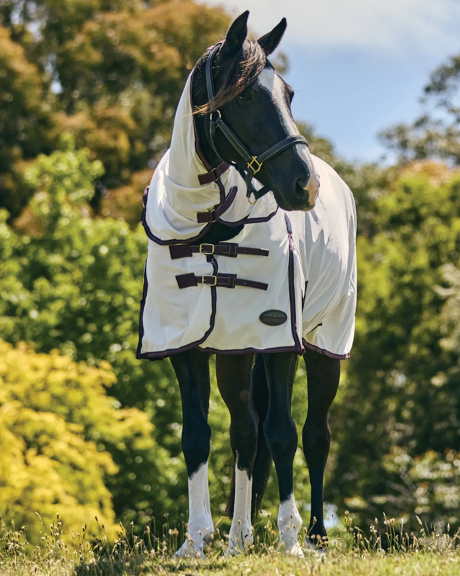 WEATHERBEETA ® ComFiTec™ Essential Mesh II Combo Neck Sale