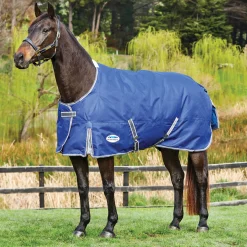 WEATHERBEETA ® ComFiTec™ Free Standard Neck Medium Weight Turnout Blanket Best