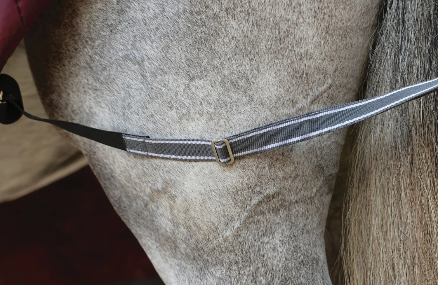 WEATHERBEETA ® ComFiTec™ Plus Dynamic II Standard Neck Lite Turnout Maroon/Grey/White Best