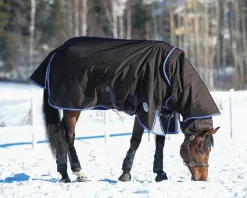 WEATHERBEETA ® ComFiTec™ Ultra Cozi II Detach-A-Neck Medium-Weight Turnout Blanket Charcoal/Blue/White Sale