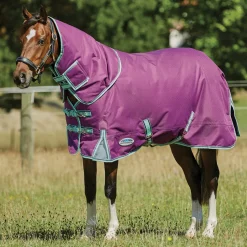 WEATHERBEETA ® Pony ComFiTec™ Premier Free II Detach-A-Neck Medium-Weight Turnout Blanket Purple/Navy/Mint Best