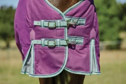 WEATHERBEETA ® Pony ComFiTec™ Premier Free II Detach-A-Neck Medium-Weight Turnout Blanket Purple/Navy/Mint Best