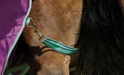 WEATHERBEETA ® Pony ComFiTec™ Premier Free II Detach-A-Neck Medium-Weight Turnout Blanket Purple/Navy/Mint Best