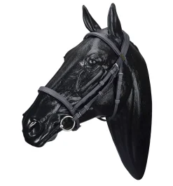 SADDLERY BRANDS INTL Wintec Bridle Online