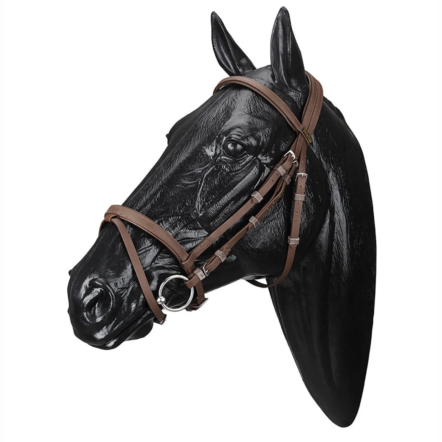 SADDLERY BRANDS INTL Wintec Bridle with Flash Outlet