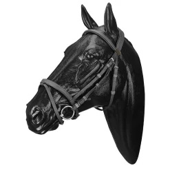 SADDLERY BRANDS INTL Wintec Bridle with Flash Outlet