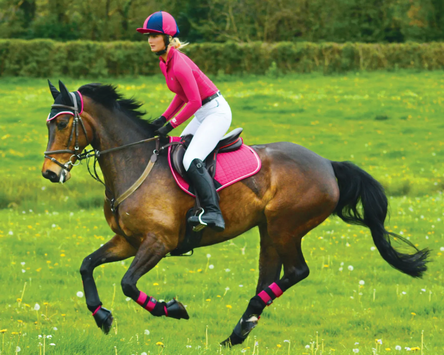 TOKLAT ORIGINALS Woof Wear All-Purpose Boots Discount