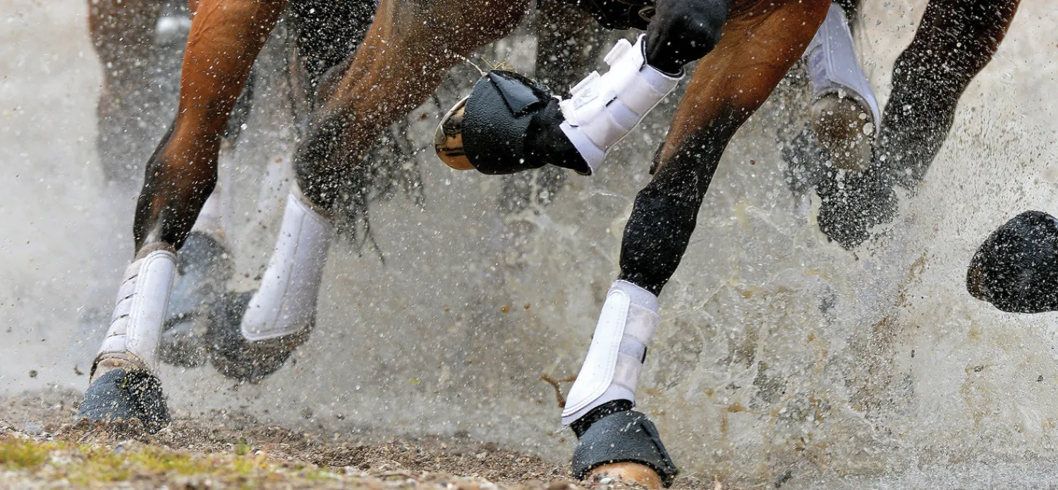 TOKLAT ORIGINALS Woof Wear All-Purpose Boots Discount